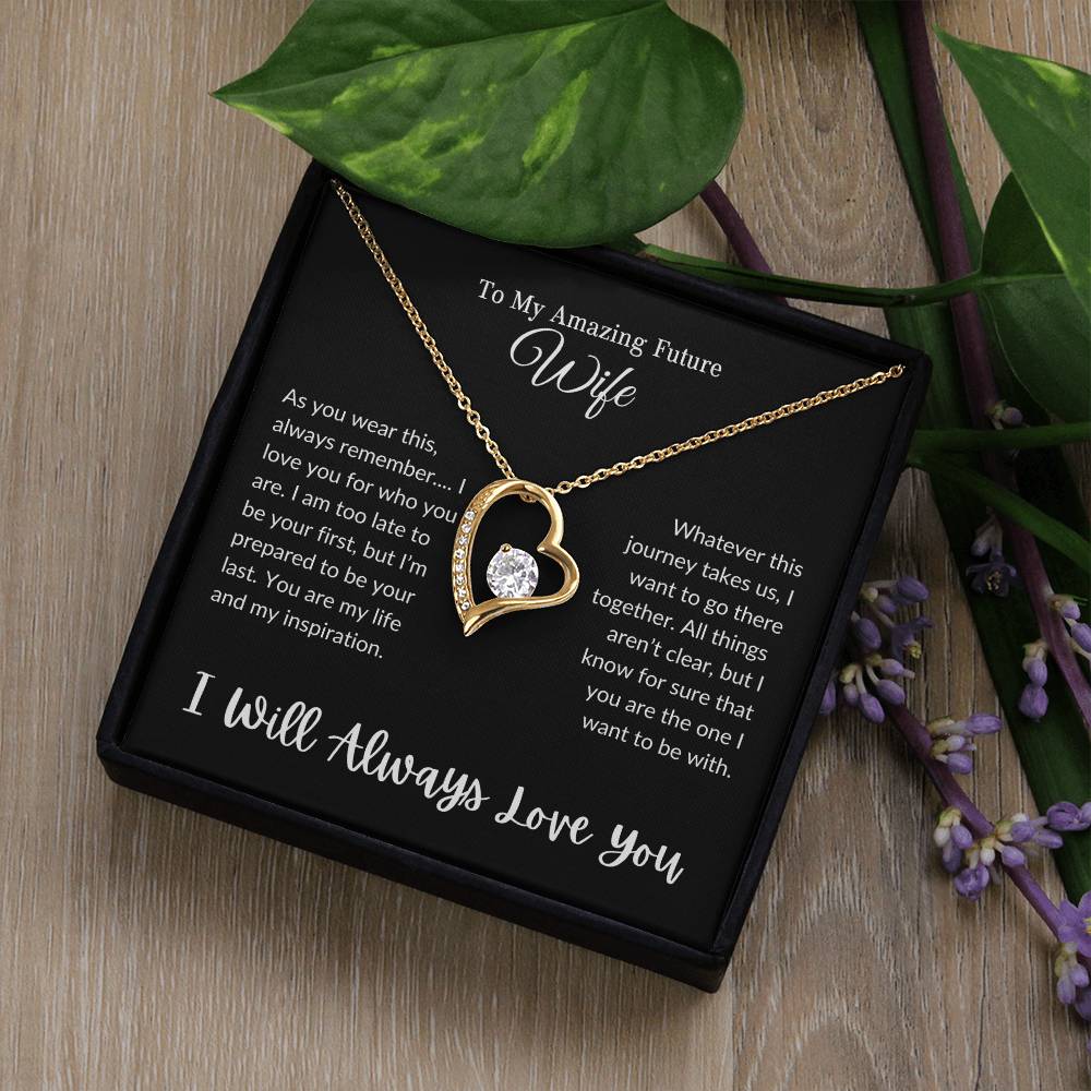 To My Future Wife (Forever Love Necklace)